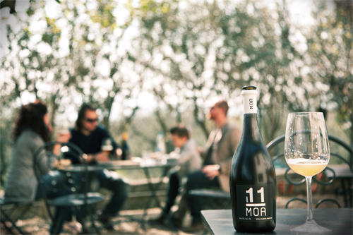 intervista MOA birra