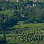 collina valdobbiadene