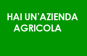 Aziende prodotti tipici