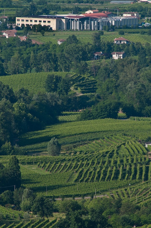 collina valdobbiadene