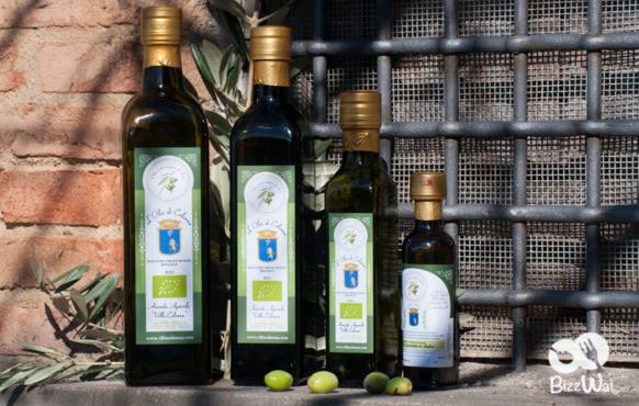 Offerte e Prezzi Olio Extravergine d’Oliva