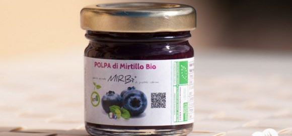 Marketing alimentare - mirtillo biologico e aziende alimentari