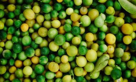 marketing alimentare per aziende online