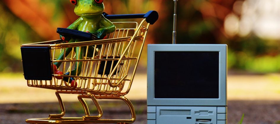 Spesa Online e Supermercati Online: Il futuro
