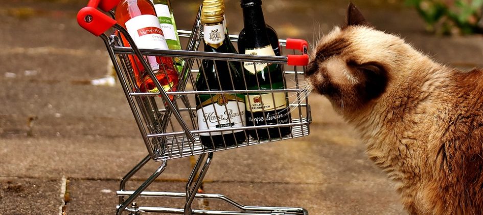 Vini Online | Sviluppo Progetto E-commerce Vincente
